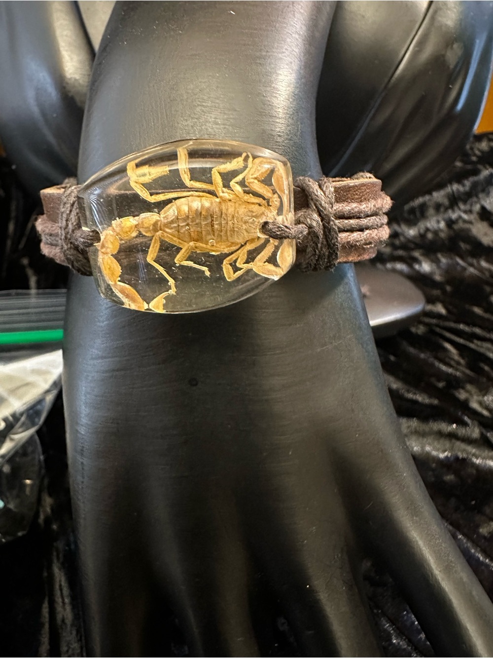Scorpion encased cord bracelet